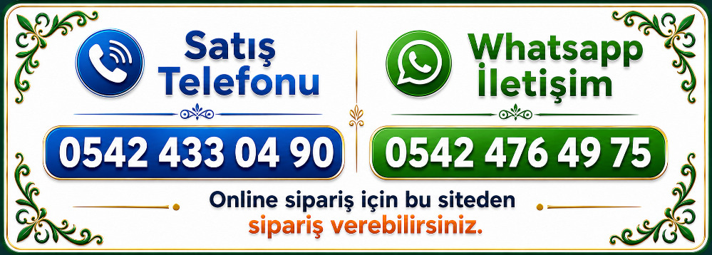 gptbanner2 - JPEG